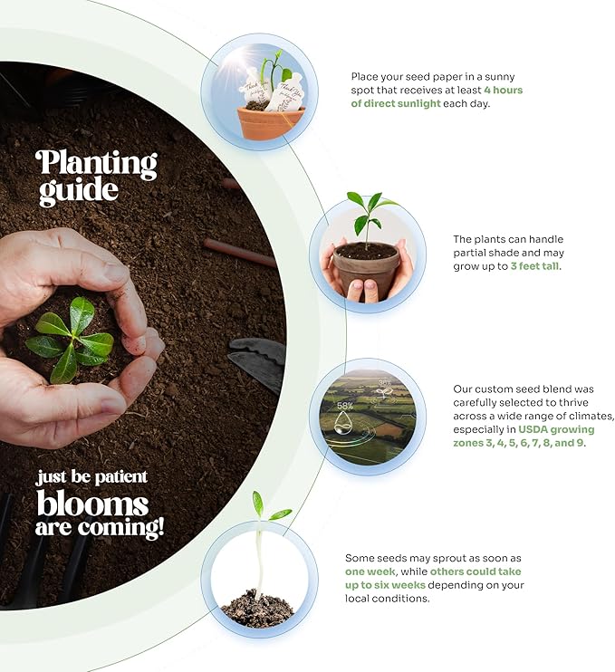 Set of 48 Pink Butterfly Seed Paper – Writable & Plantable Wildflower with Envelopes & Planting Guides, Gift for Moms or Plant Lovers for Mother’s Day, Party Favors for Weddings & Showers