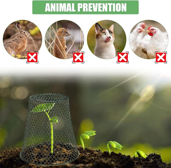40 Pcs 8 inch Chicken Wire Plant Covers,Wire Garden Cloches Chicken Wire Cloche Plant Protector Metal Heavy Duty Garden Plant Cloche for Keeping Bunnies Chicken Squirrels Birds Other Out