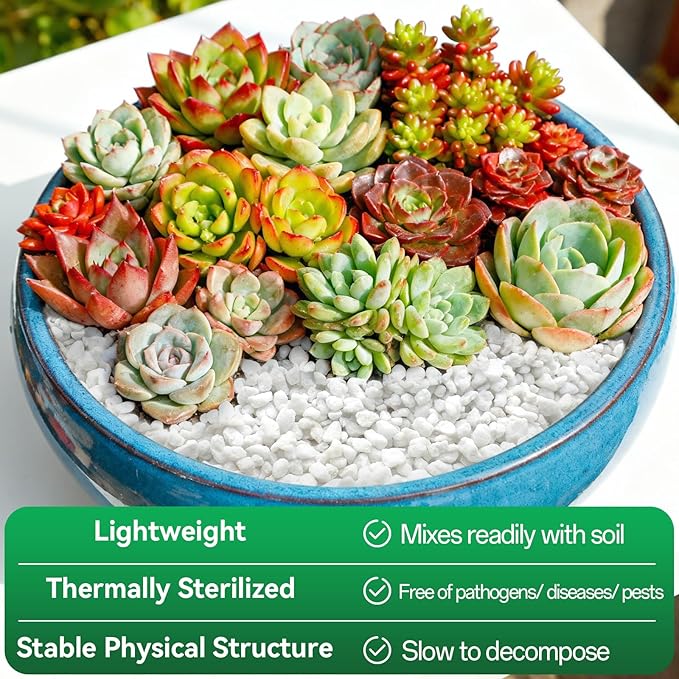 ZeeDix 6QT Organic Perlite Horticulture Soil Amendment for Plants, 3-9mm Granule Size Potted Plant Soil for Orchid Cactus Succulents Carnivorous Monstera Repotting, Indoor Outdoor Gardening