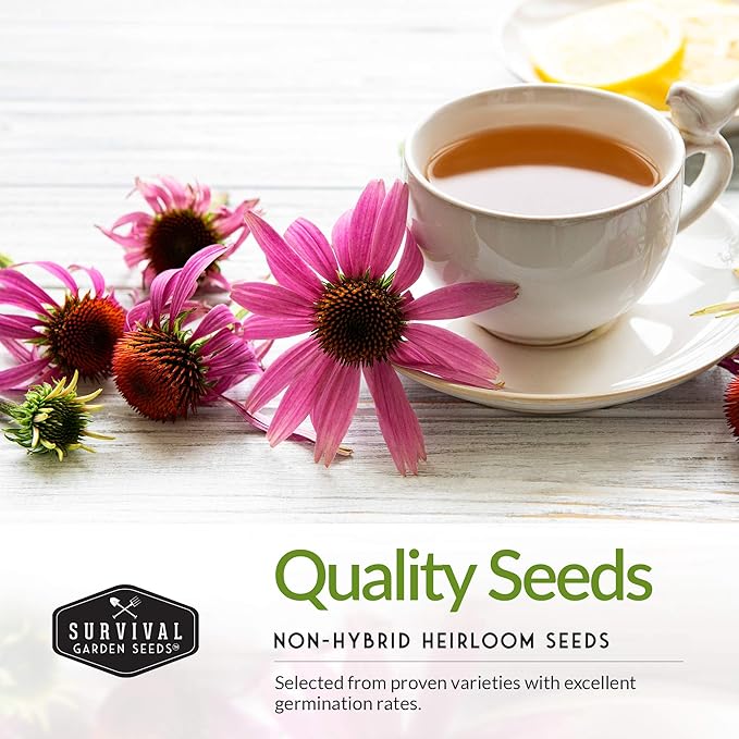 5 Flower Seed Collection for Planting – Zinnia, Marigold, Coneflower, Daisy & Hollyhock – Heirloom Non-GMO Pollinator & Cut Flower Garden Gift Pack | Survival Garden Seeds
