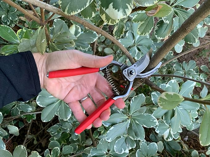 Corona Tools Forged Steel ClassicCUT Bypass Hand Pruner – 1-Inch Cut Capacity Garden Pruning Shears for Stems & Branches, Heavy-Duty Bypass Pruners for Tree, Shrub & Plant Trimming