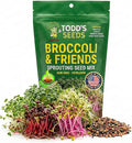 Todd's Seeds Broccoli and Friends Sprouting Seed Mix: Broccoli, Crimson Clover, Red Radish, Alfalfa, Non-GMO, Chemical Free, High Germination (1/4 Pound)