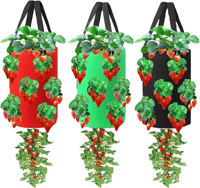 Miewslan 3 Pieces Upside Down Tomato Planter, 3 Gallons Grow Bags Hanging Strawberry Planter Strawberry Tomato Potato Vegetable Planting Bag with 13 Holes(Red+Green+Black)