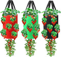 Miewslan 3 Pieces Upside Down Tomato Planter, 3 Gallons Grow Bags Hanging Strawberry Planter Strawberry Tomato Potato Vegetable Planting Bag with 13 Holes(Red+Green+Black)
