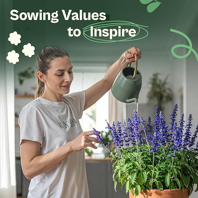 SVI 1000 Blue Sage Seeds for Planting (Salvia farinacea) - Heirloom Sage, Salvia Perennial Wildflower - Flower Seeds to Plant Outside in Pollinator Garden, Meadows, Borders, Beds