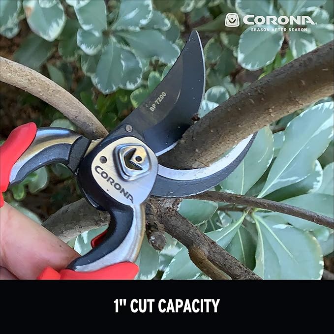 Corona BP 7200 Forged Pro Cut Bypass Hand Pruner, 1-Inch, Red (Pack of 6)