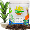 Soil Sunrise Banana Tree Potting Soil Mix (12 Quarts) – Hand-Blended Indoor/Outdoor Mix for Healthy Banana Plants – Enhances Drainage & Root Support – Made in USA