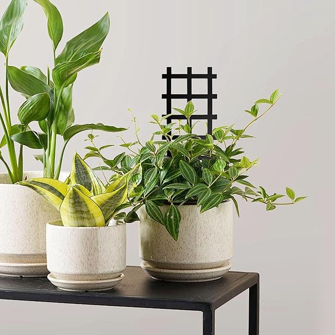 Metal Ladder Indoor Plant Trellis,14.96 inch Metal Plant Trellis for Climbing Plants Indoor.Rustproof House Plant Support for Pothos Hoya Ivy Flower