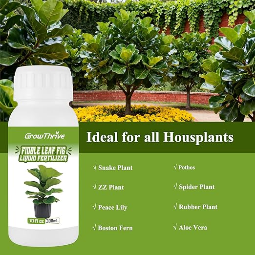 10oz Fiddle Leaf Fig Plant Food for All Fig and Other Ficus Trees, Liquid Houseplant Fertilizer for Ficus Plants, Ideal Fiddle Leaf Fertilizer, Ficus Plant Food for Improves Leaves and Branches