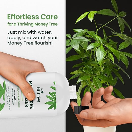 16oz Money Tree Plant Indoor Fertilizer - Makes 96 Gallons of Money Tree Fertilizer - Nutrient-Rich Plant Food with Macro & Micronutrients for Glossy Leaves, Strong Roots, and Lush, Tropical Growth