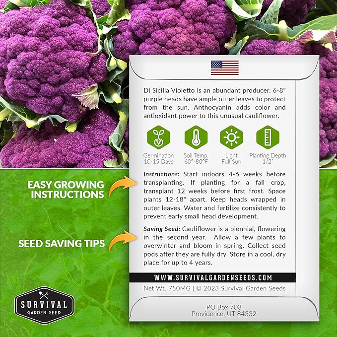 Purple Cauliflower Seeds for Planting – Violetto di Sicilia – Heirloom Italian Cauliflower Variety Producing Deep Violet Heads - Non-GMO, Open-Pollinated - Survival Garden Seeds (2 Packs)