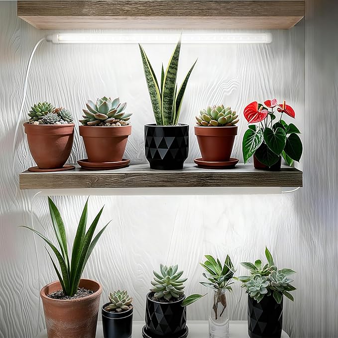 LED Grow Light for Indoor Plants with Timer, 2FT 40W Plant Light Bar for Seed Starting, Herbs, Succulents - Auto 4/8/12H Cycle, Full Spectrum, Easy Install Kit