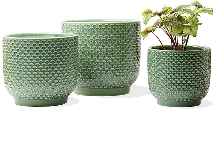 4 + 5 + 6 Inch Ceramic Pots for Indoor Plants, Succulents Plant Pots, Orchid Flower Pot with Drainage Hole, Modern Clay Stoneware Planters, Set of 3 (Green, 4+5+6 Inch)