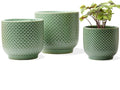 4 + 5 + 6 Inch Ceramic Pots for Indoor Plants, Succulents Plant Pots, Orchid Flower Pot with Drainage Hole, Modern Clay Stoneware Planters, Set of 3 (Green, 4+5+6 Inch)