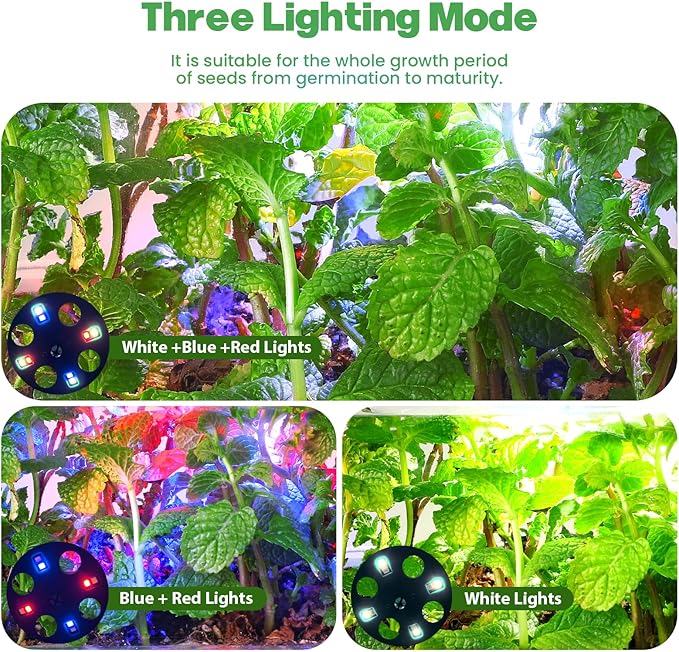 Clear Seed Starter Trays with Grow Lights, 72 Cells Seed Starter Kit with Lights, 3 Lighting Mode, 4 Timing Set, Germination Kit Humidity Control Domes, Grow Lights for Seed Starting, Plant Grow Kit