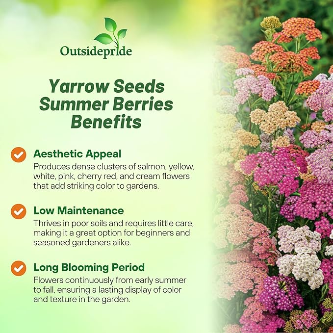 Outsidepride Summer Berries Mix Yarrow Seeds – 2000 Pcs. Perennial, Versatile, Clump-Forming, & Drought Tolerant Flower Seeds for Planting Fragrant & Vibrant Blooms, Ideal for Pollinator Gardens