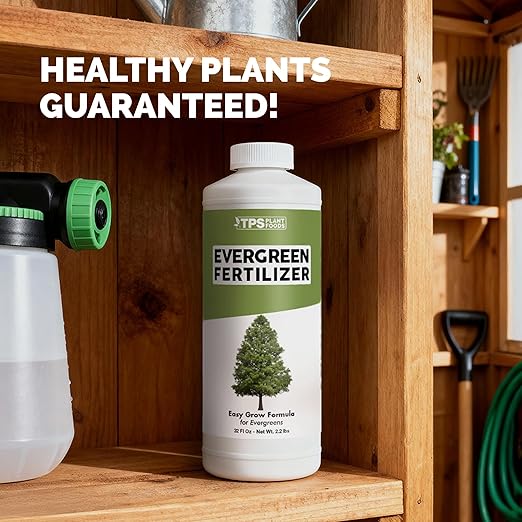 Evergreen Tree Fertilizer – Liquid Plant Food for Rich Green Needles, Stronger Roots & Healthy Year-Round Growth, 32 oz