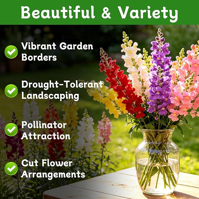 LUOJIBIE Snapdragon Seeds, 50,000+ Tetra Mix Snapdragon Seeds for Planting (Antirrhinum Majus) Fairy Bouquet Blend, Non-GMO Heirloom Annual Flower Garden Seeds Bulk for Outdoor & Indoor