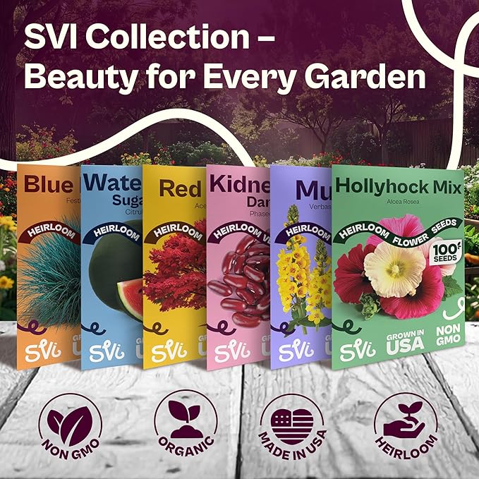 SVI 800 Calabrese Broccoli Seeds for Sprouting (Brassica oleracea VAR. capitata) - Green Broccoli Sprouts Seed Packets - Non-GMO Heirloom Vegetable Seeds for Planting Outdoors & Indoors Garden