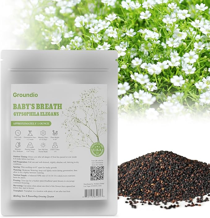 Baby's Breath Seeds, Large 1oz Pack, Little White Flowers Heirloom Seeds Open Pollinated Annual Flower, Non-GMO Grown in The USA