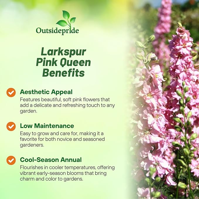 Outsidepride Delphinium Pink Larkspur Seeds for Planting Outdoors - 1000 Pcs Annual, Self-Seeding, Heat & Drought Tolerant Wildflower Seeds, Colorful Blooms for Flower Arrangement & Pollinator Garden