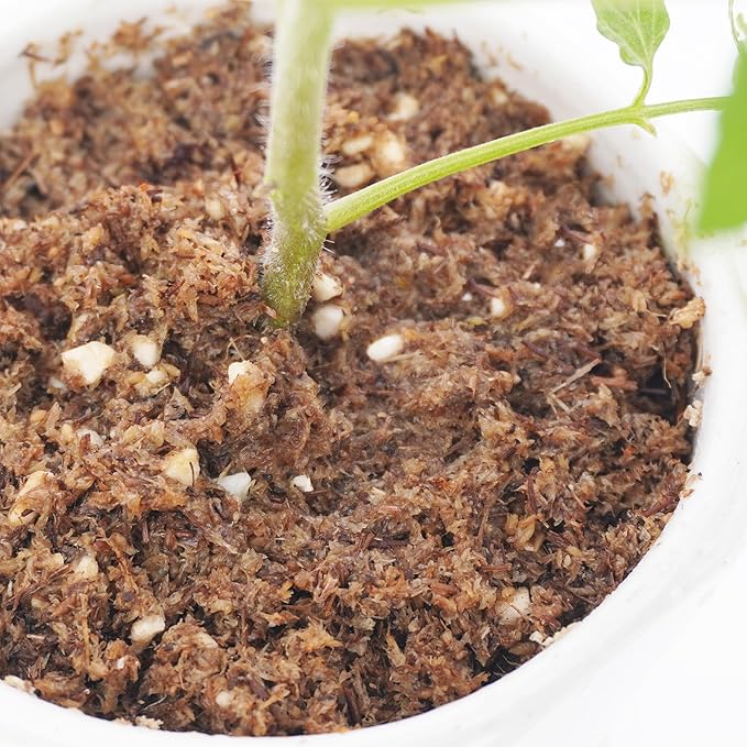 2 Quarts Lightweight Tomato Potting Soil, Premium Potting Soil Outdoor and Indoor, Long-Lasting Moisturisation and Fast Drainage