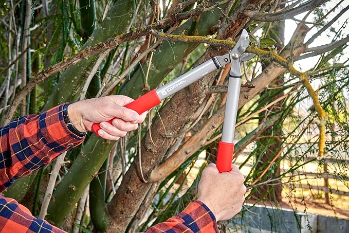 Corona BP 3225D Forged Steel ClassicCUT Bypass Hand Pruner - 3/4 inch Cut Capacity Stem and Branch Garden Shears, Red
