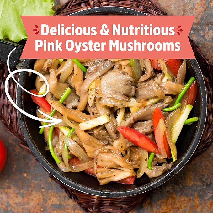 Back to the Roots Organic Pink Mushroom Grow Kit, Harvest Gourmet Mushrooms In 10 Days