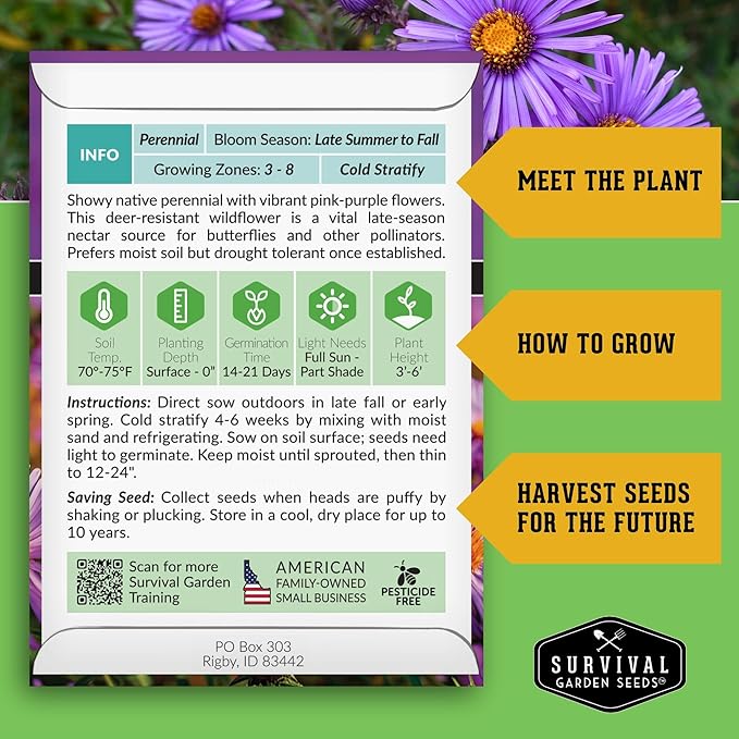 Survival Garden Seeds - New England Aster Seeds for Planting | Native Purple Perennial Wildflower | Butterfly Magnet | 1 Pack