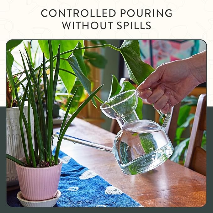 Modern Sprout Plant Watering Can - Handcrafted from Borosilicate Glass - Long Spout Vessel for Indoor Plants - 32 Oz Capacity - Multipurpose Watering Can and Flower Vase - Gift for Mother's Day(Clear)