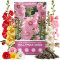Hollyhock Seeds 3000+ Bulk Pack - Mixed Colors Perennial Heirloom Non-GMO, Easy to Grow, Attracts Pollinators Butterflies & Bees, Ideal for Borders, Cottage Gardens & Outdoor Landscaping & Backyard