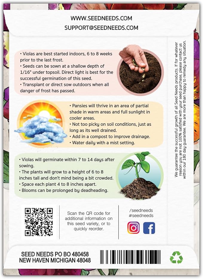 Seed Needs Viola Seeds for Planting Bambini Violas - Heirloom & Open Pollinated Annual Flowers to Plant and Grow an Outdoor Wildflower Butterfly Garden to Attract Pollinators (1 Pack)