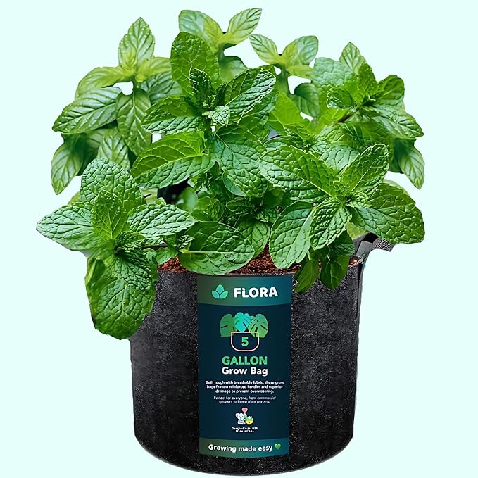 Flora 5-Gallon Thickened 300G Nonwoven Fabric Grow Bags for Plants, Heavy-Duty Pots with Handles 1-Pack