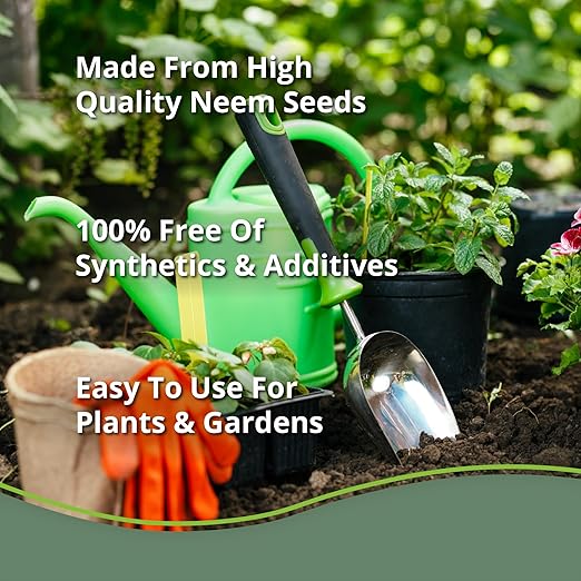Kelp Bliss (1lb) + Neem Bliss (1lb) - Kelp Meal Organic Fertilizer & Neem Cake for Plants - Kelp Fertilizer for Plants - Neem Seed Meal Fertilizer - Natural Plant Food Rich in Vitamins & Nutrients