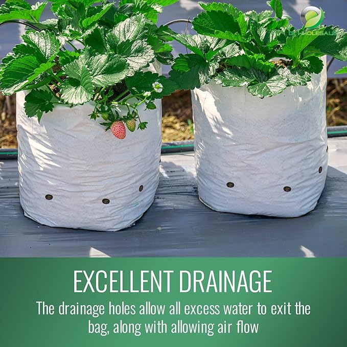 Grow1 1 Gallon Grow Bags (100 Pack) Black and White Poly Bags for Plants, Perfect for Plant Nursery Bags, Seedling Bag & Greenhouse Grow Bags, PE 1 Gallon Plastic Grow Bags