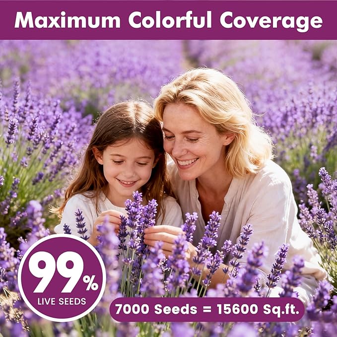 Lavender Seeds for Planting, English Lavender Seeds Indoor & Outdoor, 7000+ Heirloom Seeds, High Germination, Easy to Grow, Fragrant Flowers, Culinary & Crafts (0.7 oz)