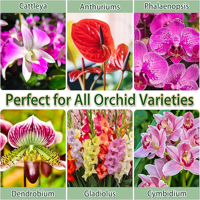 Premium Orchid Potting Mix for Repotting,1 Quart Orchid Soil for Various Orchid Types,Orchid Specific Formula Blends Natural Pine Bark,Perlite,Coco Peat & Dried Forest Moss
