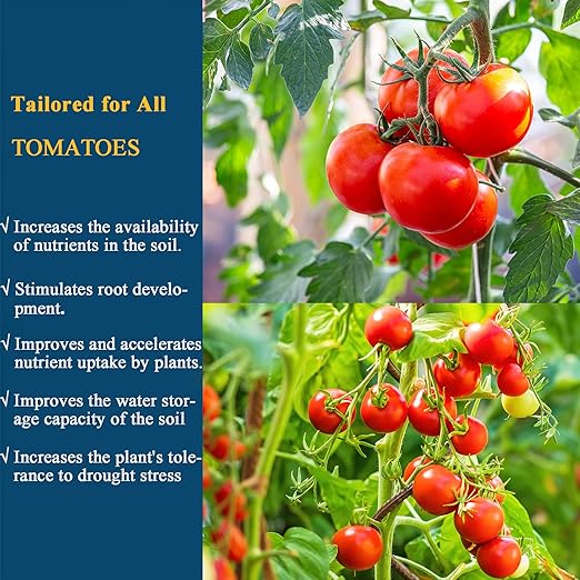 Organic Tomato Fertilizer Liquid, Microbial Probiotic Plant Nutrient for Tomatoes & Vegetables, 300ML Concentrated Formula, Improves Leaf Greenness, Root Development & Healthy Growth