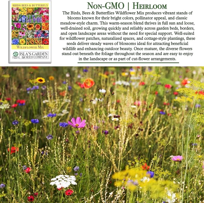 Birds, Bees & Butterflies Wildflower Mix Seeds – 500+ Non GMO Heirloom Seeds by Isla’s Garden Seeds, Colorful Pollinator Blooms for Garden Beds, Borders & Meadows, Perfect Home Gardening Gift Idea