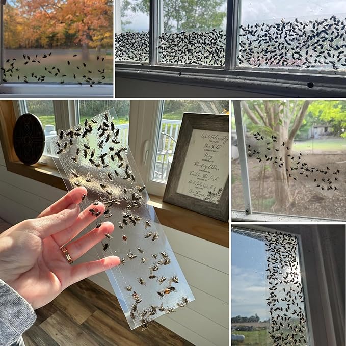 100 Pack Window Fly Traps Sticky Non-Toxic Clear Fly Paper Indoor for Home. No Mess Flies Window Sticky Traps Bug Flies Strips Indoors