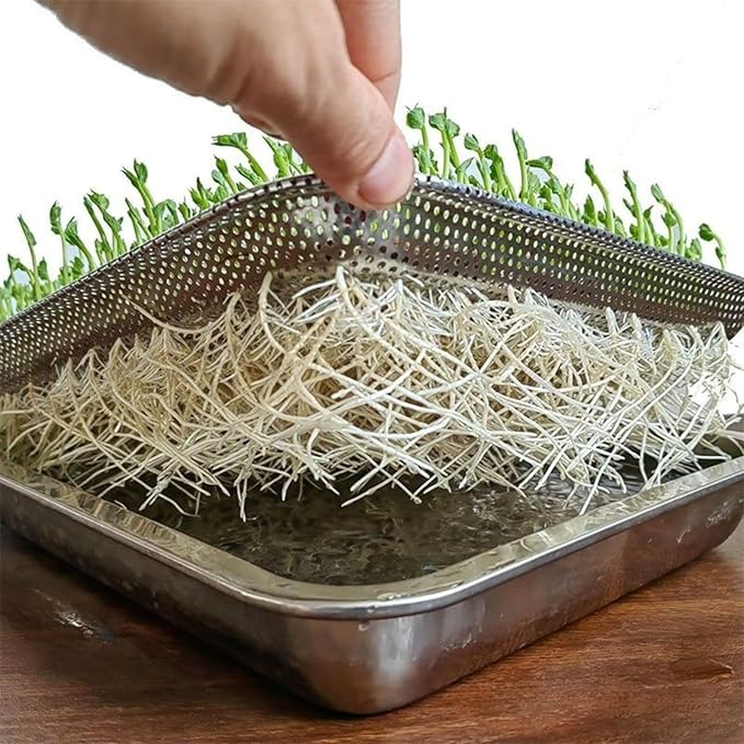 Stainless Steel Sprouting Trays -3pack, Seed Sprouter Growing Tray Microgreens Growing Kit, Plant Germination Tray with Filter Pad Mesh Mat ,Bean Sprout Grower for Beans Broccoli Alfalfa Wheat Grass