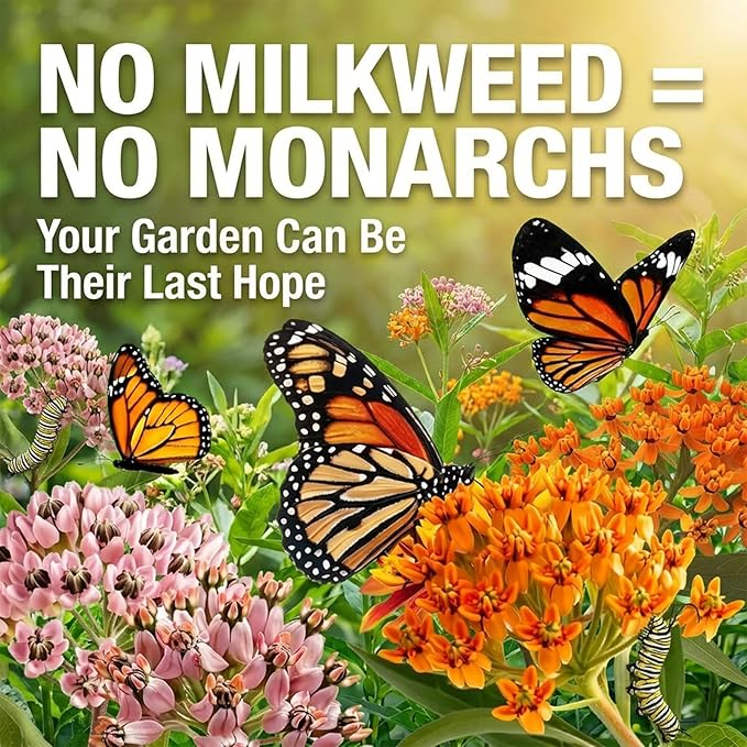 Wildflower Seeds Mix (3oz) - 89.400+Seeds - Non-GMO Milkweed Seeds for Monarch Butterflies - 25+Varieties Annual & Perennial Wildflowers Mix - Bulk Flower Seeds for Pollinator Gardens
