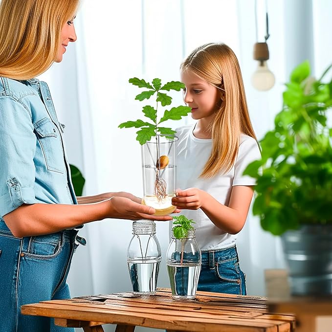 Glass Acorn Sprouting Seed Starter Vase - Acorns Tree Growing Kit with Base, Hydroponics Terrariums Pot Deco Indoor Unusual Gift for Gardening Lovers (Not Included Acorn