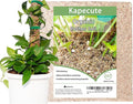 2QT Pothos Soil, Ideal Soilless Potting Soil Mix for All Indoor Plants that Require Constant Humidity and Fast Drainage