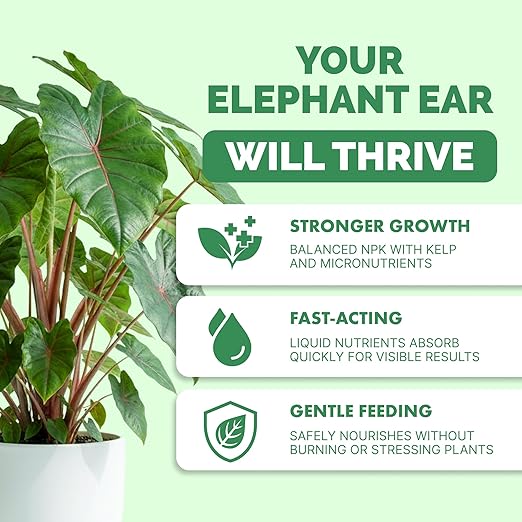 Elephant Ear Fertilizer – Liquid Plant Food for Bigger Leaves, Lush Growth & Stronger Roots, 32 oz