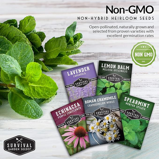 Herbal Tea Garden Seeds Kit | 5 Medicinal Herbs for Planting – Chamomile, Lavender, Lemon Balm, Spearmint, Echinacea – Heirloom Non-GMO – Survival Garden Seeds