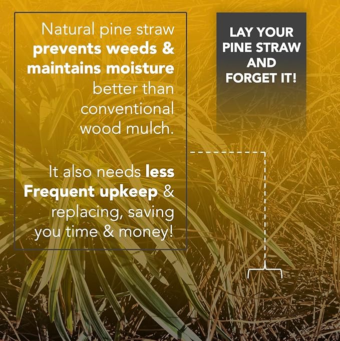 Premium 4 Pound Pine Straw Mulch for Landscaping, Organic Material Made from Authentic Pine Needles Ideal for Gardening, Soil Moisture Retention.