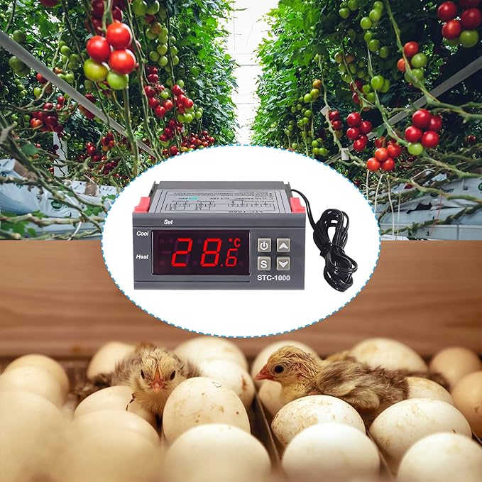 2pcs STC-1000 DC 24V 10A Digital LED Temperature Controller Cooling Heating Centigrade Thermostat Sensor 2 Relay Output with NTC 10K Thermistor Sensors Temperature Probe