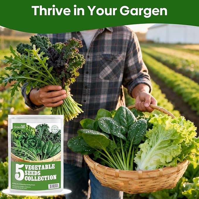 Groundio Lettuce Seeds, 5 Varieties Salad Greens Seeds, Non-GMO Heirloom Seeds for Planting Outdoor, Indoor or Hydroponic - Buttercrunch Lettuce, Romaine, Arugula, Kale and Spinach