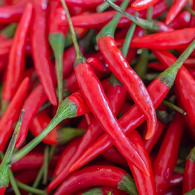 Cayenne Pepper Seeds for Planting Outdoors | Non GMO Heirloom Seed Packets | Full Planting Instructions to Plant & Grow Vegetables in Home Garden | 100 Cayenne Pepper Seeds Per Packet, 5 Packets